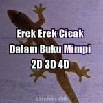 Erek Erek Cicak Dalam Buku Mimpi 2D 3D 4D
