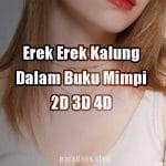 Erek Erek Kalung 2D 3D 4D Dalam Buku Mimpi
