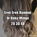 Erek Erek Rambut 2D 3D 4D Dalam Buku Mimpi